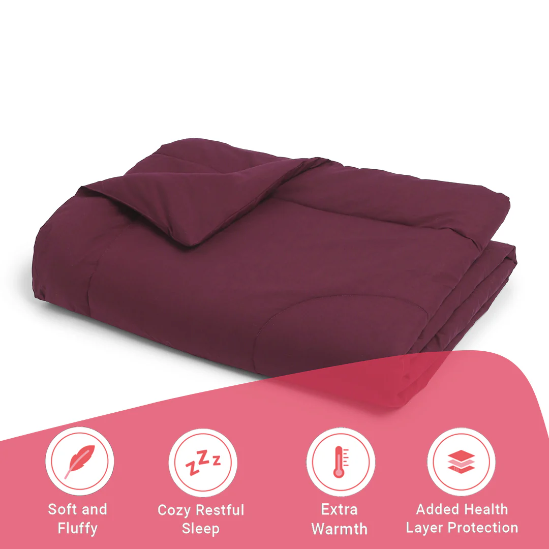 Paleto | Everyday Hues Cotton Solid Dyed 120GSM Comforter-Windsor Wine - Image 11